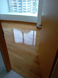 St. Regis Residences (D10), Apartment #557974681